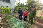 Truy tố bảo mẫu ở Hà Nội vô ý làm bé trai 7 tháng tuổi tử vong-1