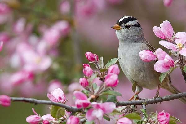 Tử vi ngày 20/10/2023: Tuổi Thân thị phi bủa vây, tuổi Tuất quý nhân vượng vận-4