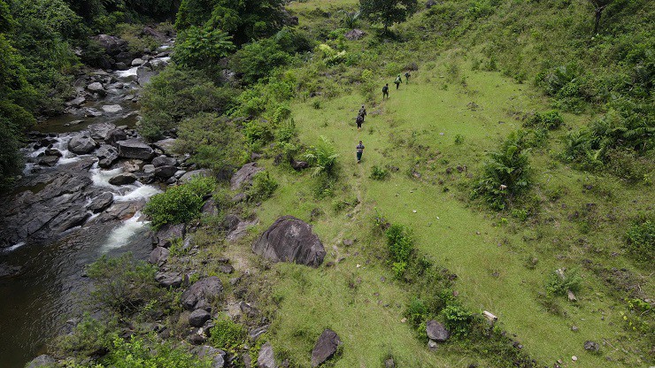 Theo chân thợ rừng” tìm mật ong đắng giá đắt đỏ, nửa tháng thu hàng trăm triệu đồng-1