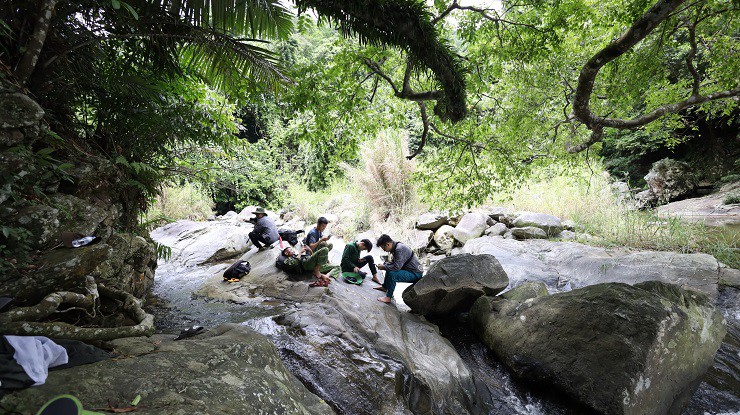 Theo chân thợ rừng” tìm mật ong đắng giá đắt đỏ, nửa tháng thu hàng trăm triệu đồng-2