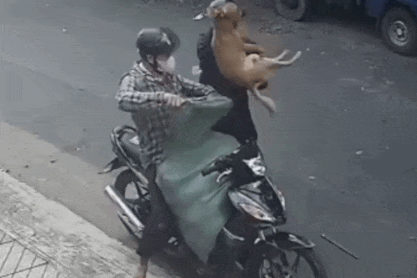 Kiên Giang: Vợ chồng bác sĩ tự tử nghi do nợ nần-2