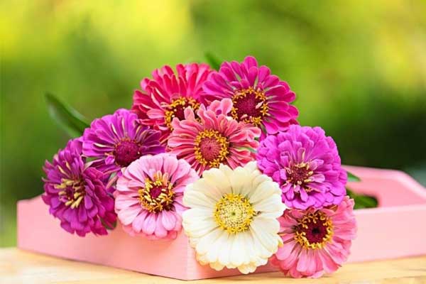 4 con giáp được Thần Tài ban phước năm 2024, tiền bạc về ngập lối, công việc tiếp nối thành công-5