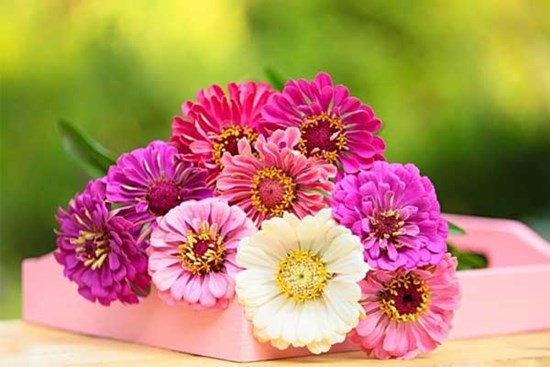 Cát vận hanh thông: Người sinh vào 4 tháng Âm lịch này định sẵn giàu sang, gánh tiền bạc tỷ