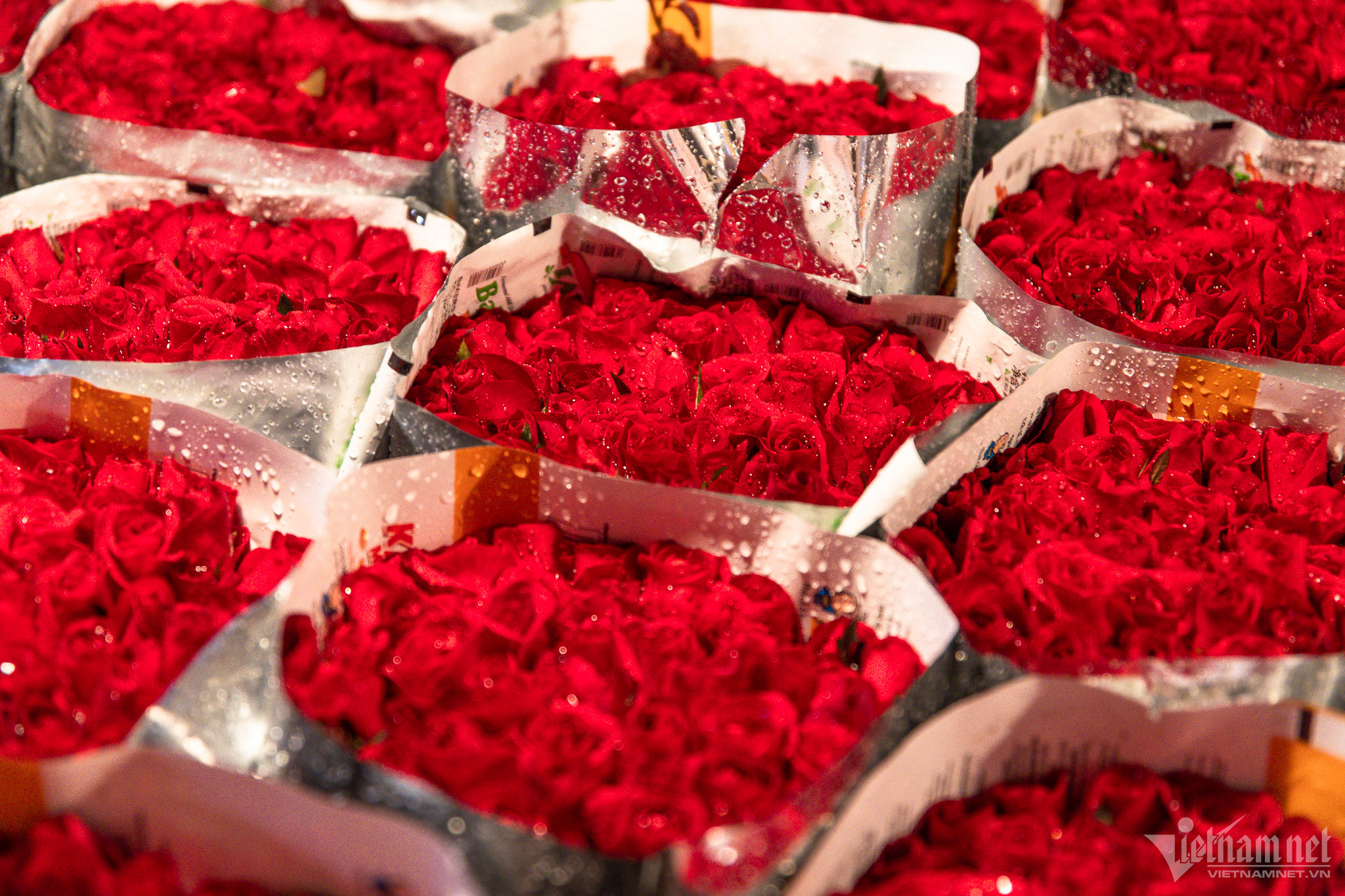 Người dân ùn ùn đổ về chợ hoa đêm lớn nhất Hà Nội-5