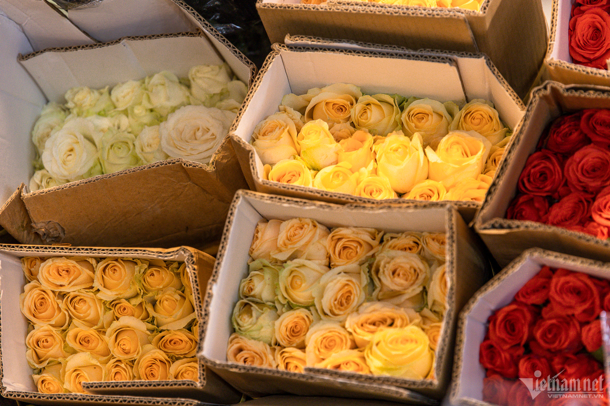 Người dân ùn ùn đổ về chợ hoa đêm lớn nhất Hà Nội-11