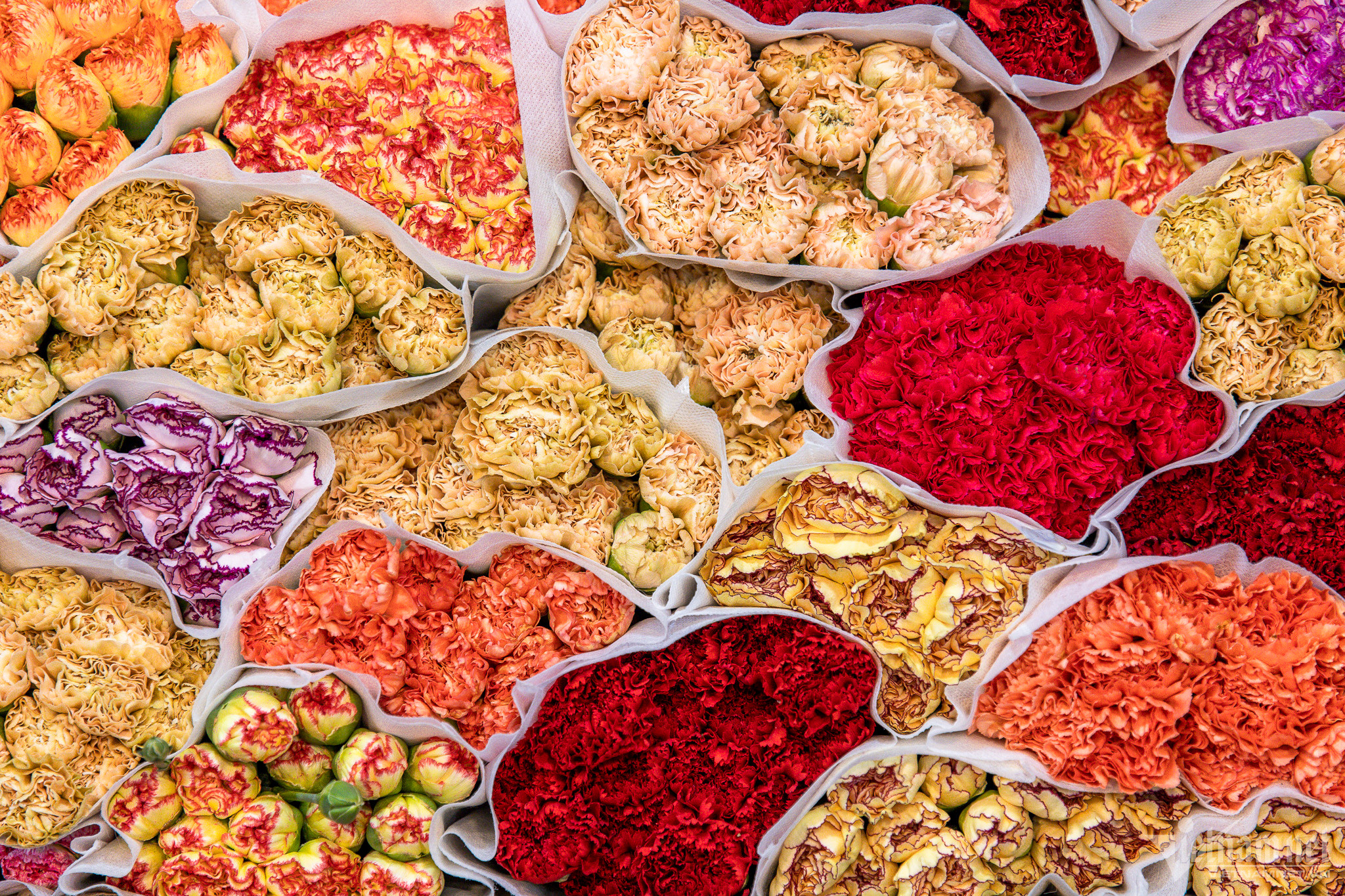 Người dân ùn ùn đổ về chợ hoa đêm lớn nhất Hà Nội-12