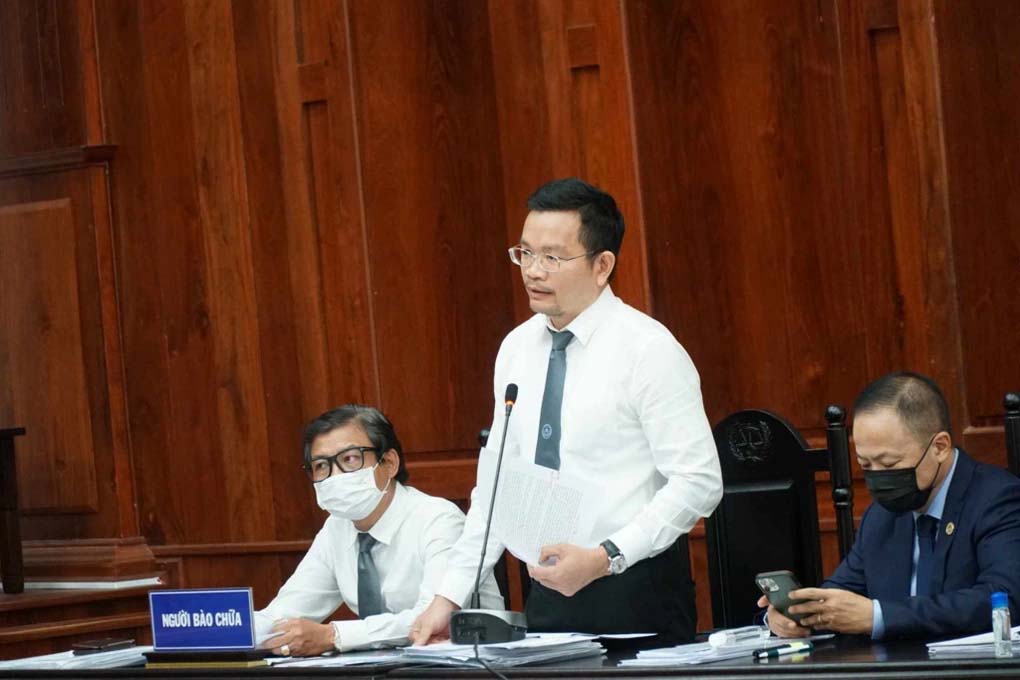 Vụ người mẫu Ngọc Trinh bị bắt tạm giam dưới góc nhìn các chuyên gia luật-2