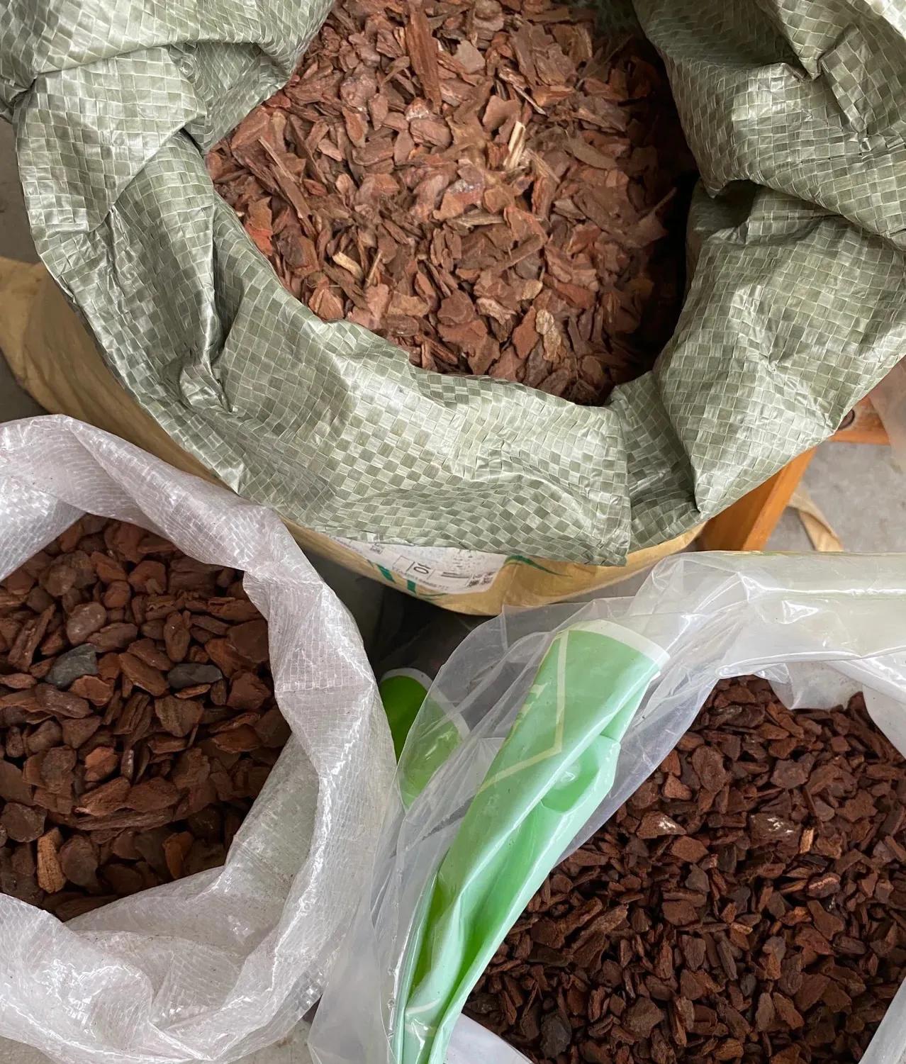 Trồng cây cảnh bằng 3 loại da này, cành lá xum xuê, hoa nở liên tục, trĩu cành, thơm ngát-4