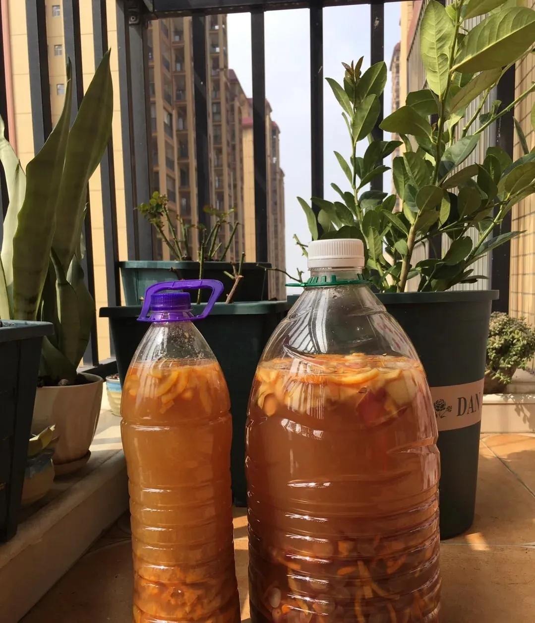 Trồng cây cảnh bằng 3 loại da này, cành lá xum xuê, hoa nở liên tục, trĩu cành, thơm ngát-5