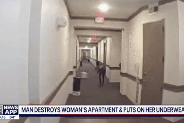 Căn hộ biến thành cảnh tượng kinh hoàng chỉ sau vài tiếng đi vắng, gia chủ tái mặt với hình ảnh được camera ghi lại-3