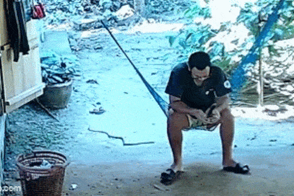 Clip: Thấy rắn bò dưới chân, người đàn ông có phản ứng bất ngờ