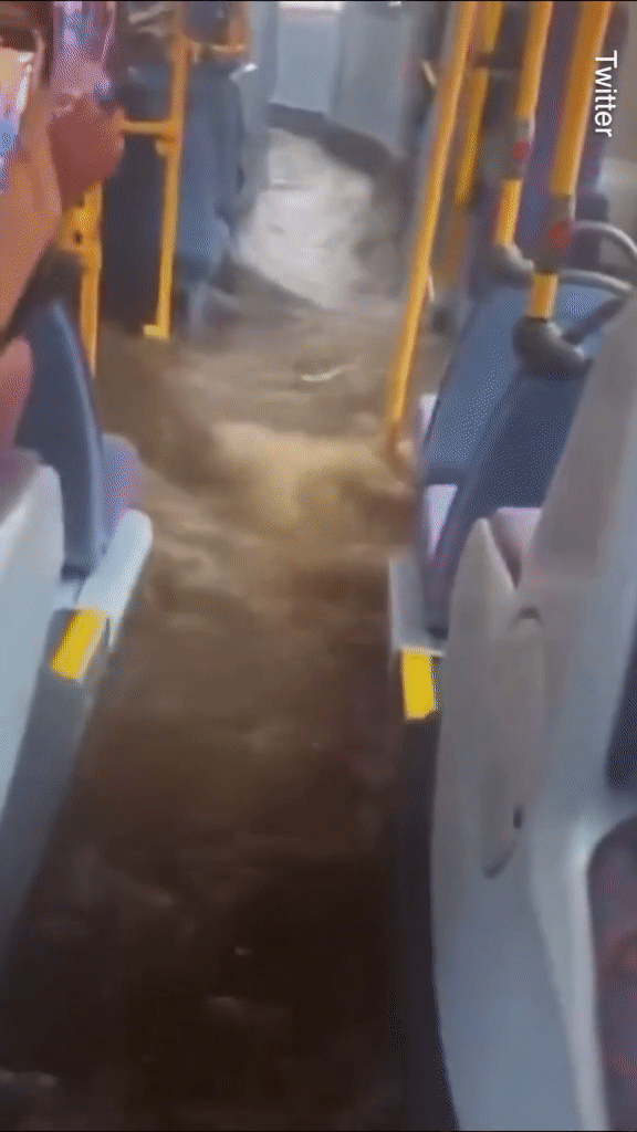 Bắc Âu: Xe buýt, máy bay cũng sa lầy vì mưa bão-1