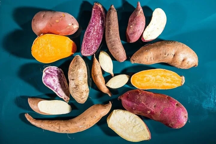 Should you choose male sweet potato or female sweet potato?-1