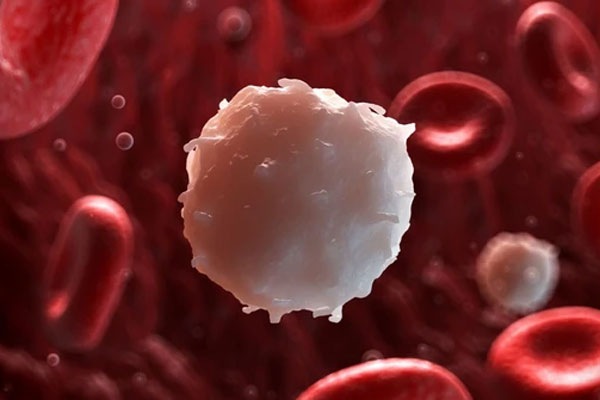 Rau xà lách rất tốt, chống ung thư nhưng đại kỵ với 6 người này-2