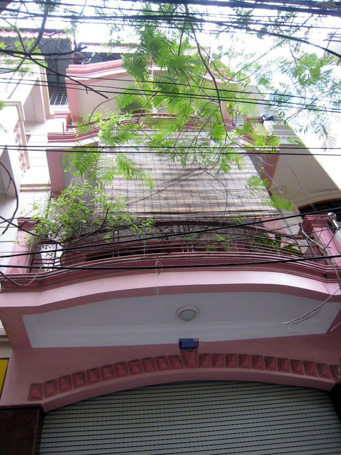 Táo kinh tế Quang Thắng tuổi 55 sống lủi thủi trong căn nhà 30m2 ở Hà Nội-8