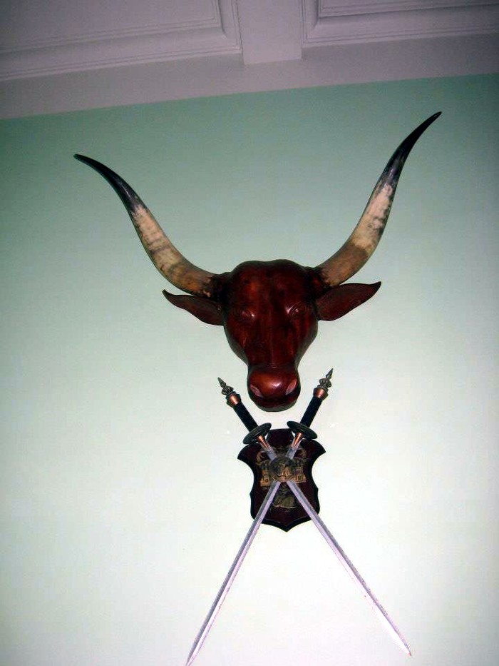 Táo kinh tế Quang Thắng tuổi 55 sống lủi thủi trong căn nhà 30m2 ở Hà Nội-19