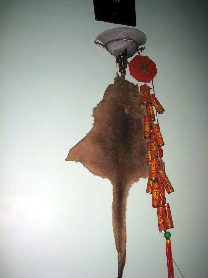 Táo kinh tế Quang Thắng tuổi 55 sống lủi thủi trong căn nhà 30m2 ở Hà Nội-22