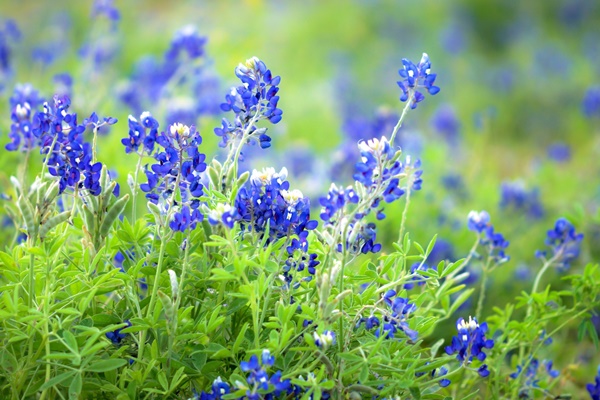 Người sinh vào 3 ngày Âm lịch này đến trung niên tài vận càng thêm dồi dào-4