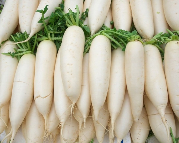 Tác dụng ít biết của củ cải trắng đối với sức khỏe và sắc đẹp-3