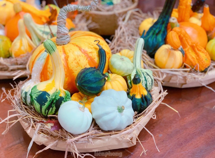 Săn mua set bí ngô đẹp hút mắt ‘sống ảo’ dịp Halloween-1