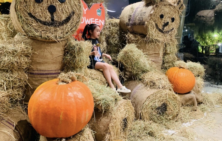 Săn mua set bí ngô đẹp hút mắt ‘sống ảo’ dịp Halloween-10