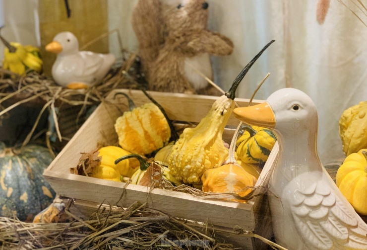 Săn mua set bí ngô đẹp hút mắt ‘sống ảo’ dịp Halloween-3