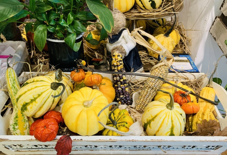 Săn mua set bí ngô đẹp hút mắt ‘sống ảo’ dịp Halloween-8