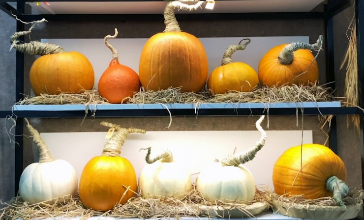 Săn mua set bí ngô đẹp hút mắt ‘sống ảo’ dịp Halloween-9