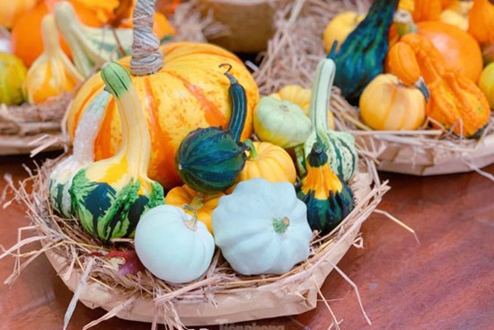 Săn mua set bí ngô đẹp hút mắt ‘sống ảo’ dịp Halloween