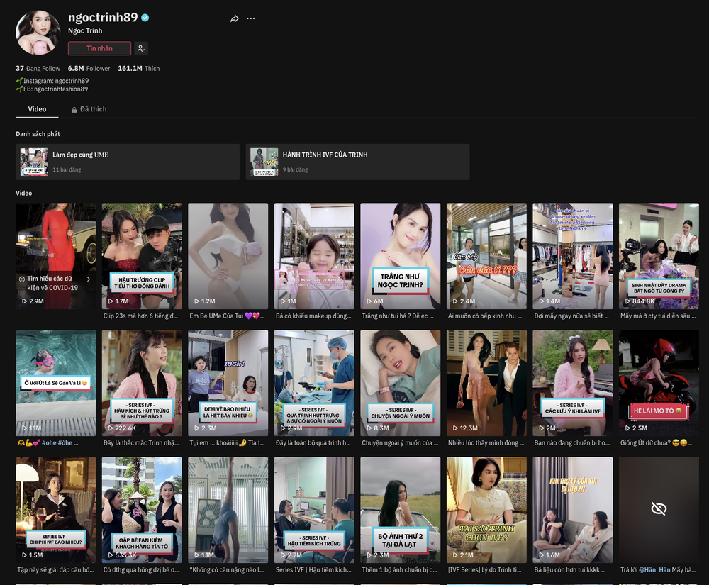 Ngọc Trinh kiếm tiền thế nào trên mạng xã hội?-1