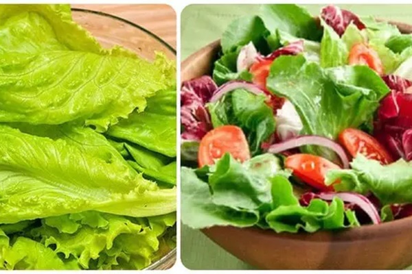 Rau xà lách rất tốt, chống ung thư nhưng đại kỵ với 6 người này-1