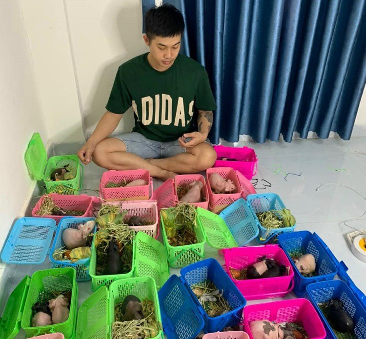 Hà mã mini” bụng to chân ngắn, giá hàng triệu đồng/con được lùng mua-4