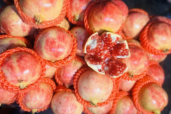 Hà Nội: Loại hoa đặc sản mùa thu” có giá 100 nghìn đồng/bó, dân buôn tranh mua-9