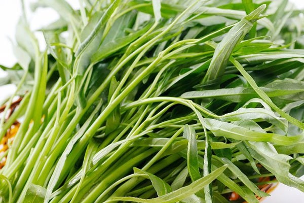 Xe máy đi chuyển với tốc độ kinh hoàng đâm trực diện xe tải-1