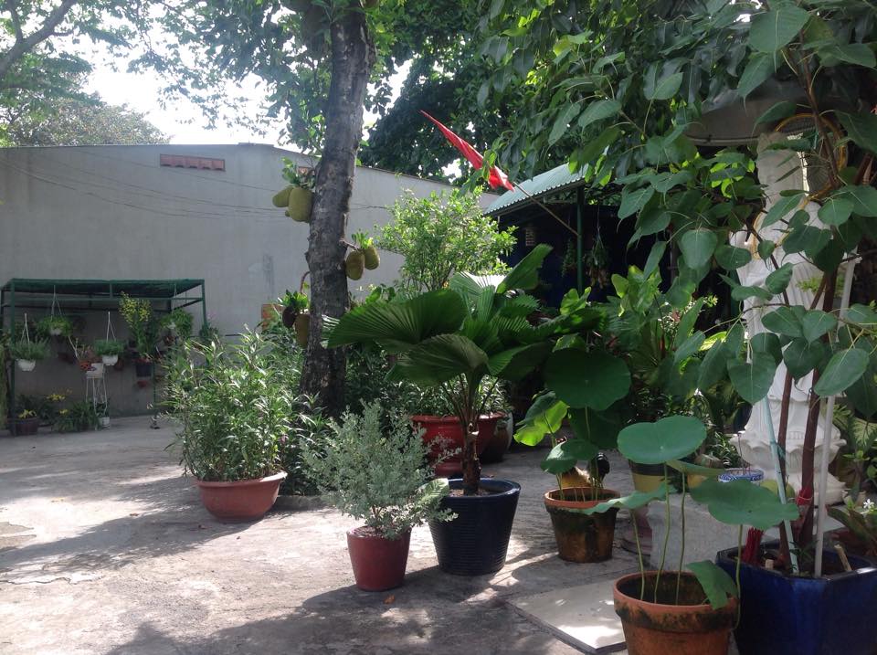 Bất ngờ về ngôi nhà trong hẻm nhỏ của nàng Á hậu bắt được hoa cưới từ Thanh Hằng-12