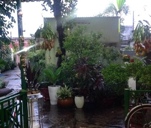 Bất ngờ về ngôi nhà trong hẻm nhỏ của nàng Á hậu bắt được hoa cưới từ Thanh Hằng-13