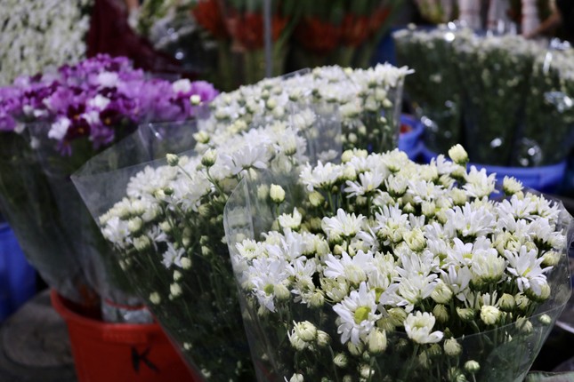 Cúc hoạ mi dập dìu xuống phố sớm, giá cao vẫn cháy hàng-5