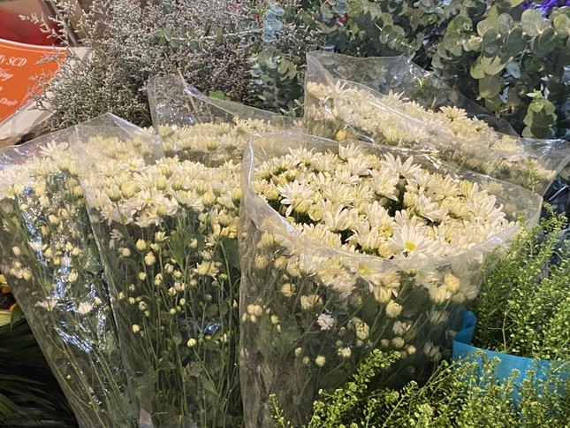 Cúc hoạ mi dập dìu xuống phố sớm, giá cao vẫn cháy hàng-6