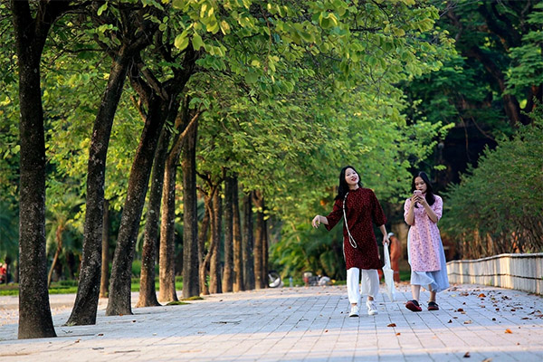 Chó thả rông, không rọ mõm tung tăng khắp các công viên ở Hà Nội-15