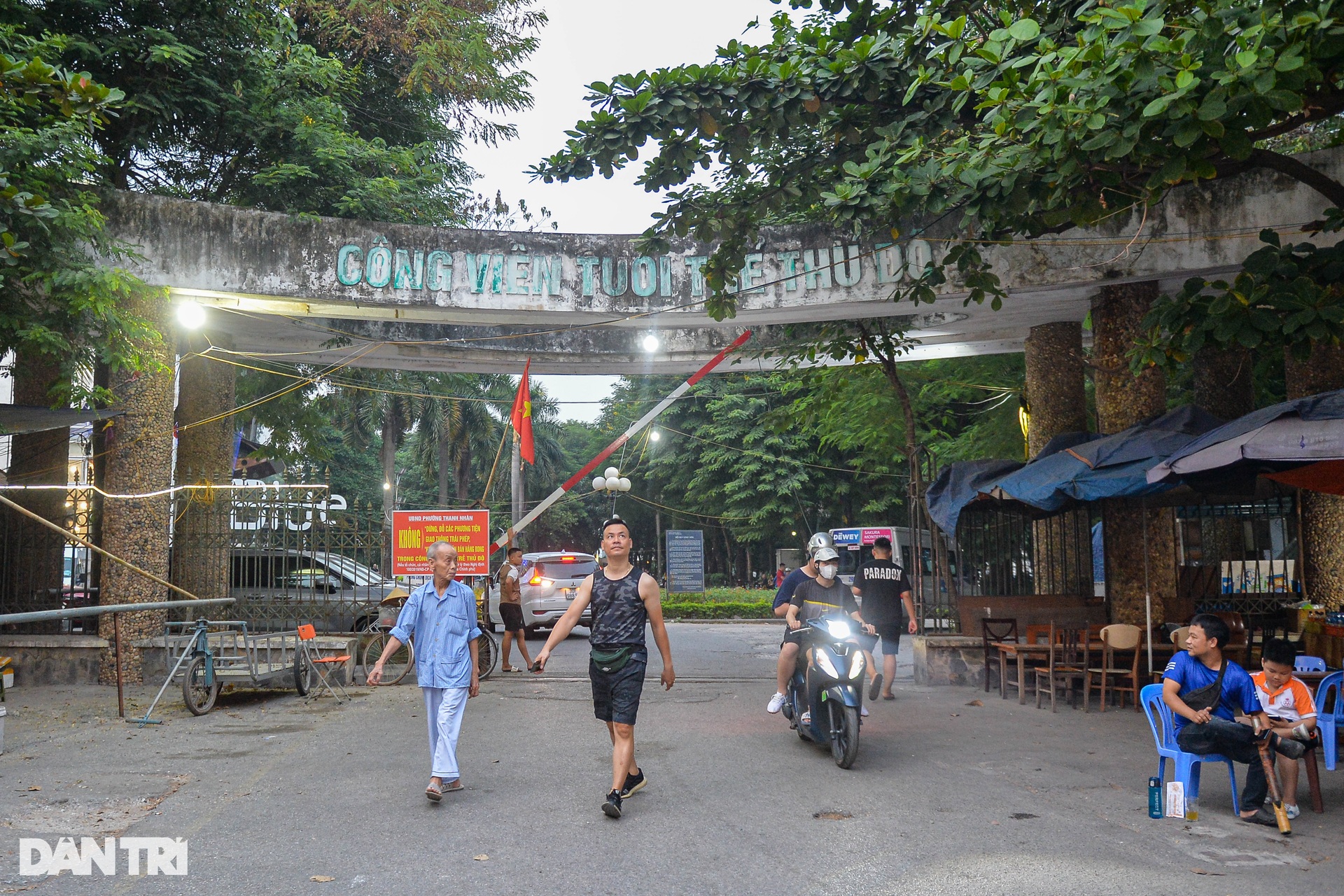 Chó thả rông, không rọ mõm tung tăng khắp các công viên ở Hà Nội-1