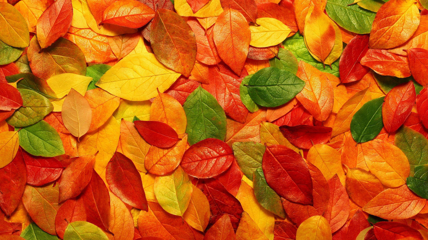 Thần Tài ưu ái: Ai sinh ngày Âm lịch này làm ít hưởng nhiều, không lo thiếu tiền tiêu-1