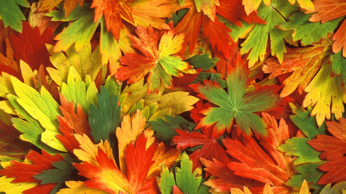 Thần Tài ưu ái: Ai sinh ngày Âm lịch này làm ít hưởng nhiều, không lo thiếu tiền tiêu-2