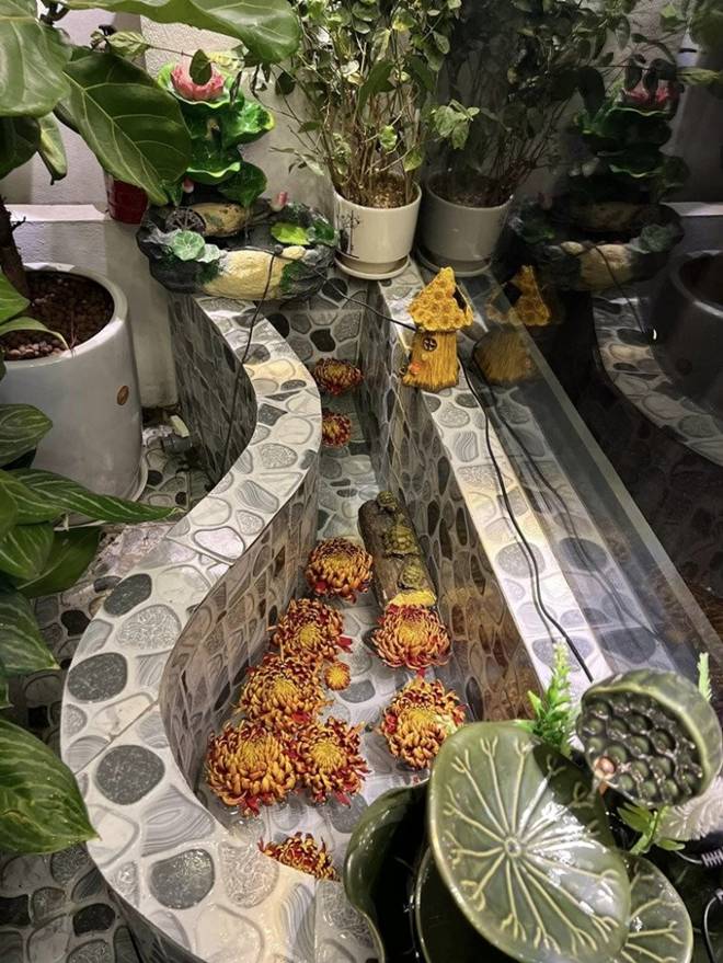 Vợ Đại úy của NSND Tự Long khoe góc ban công đầy ắp sắc hoa, treo đàn cực đáng yêu-5