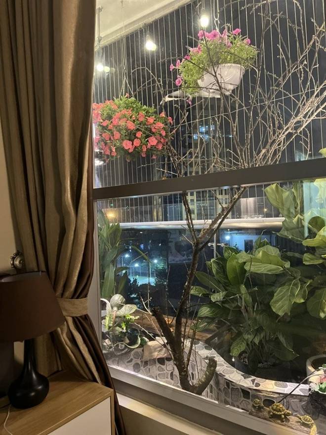 Vợ Đại úy của NSND Tự Long khoe góc ban công đầy ắp sắc hoa, treo đàn cực đáng yêu-6