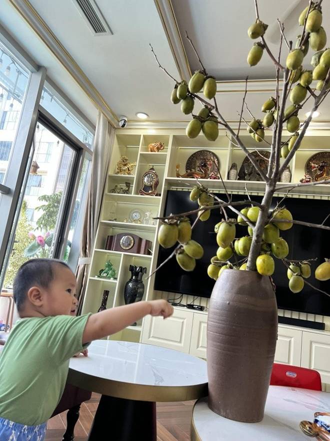 Vợ Đại úy của NSND Tự Long khoe góc ban công đầy ắp sắc hoa, treo đàn cực đáng yêu-11