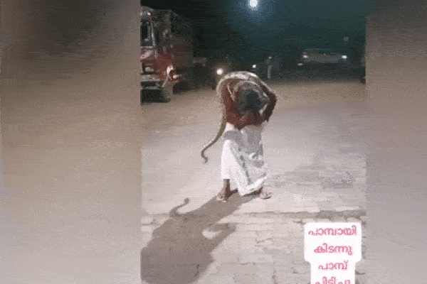 Bắt gặp cảnh tượng nổi da gà, người đàn ông lập tức quay lại clip-1