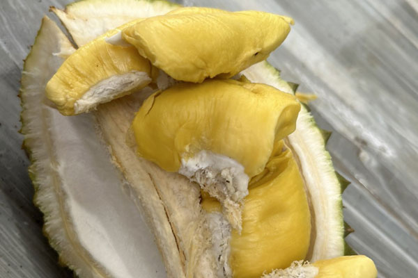 Sầu riêng nghịch vụ giá 125.000 đồng/kg vẫn không có để bán-2