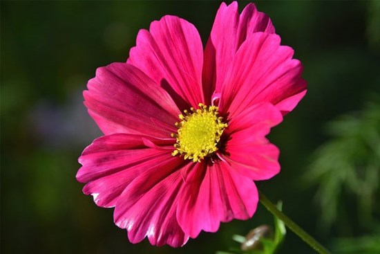 Dũng cảm đối mặt: 3 con giáp vượt mọi thách thức, từ giữa tháng 9 Âm lịch hốt bạc, hứng vàng