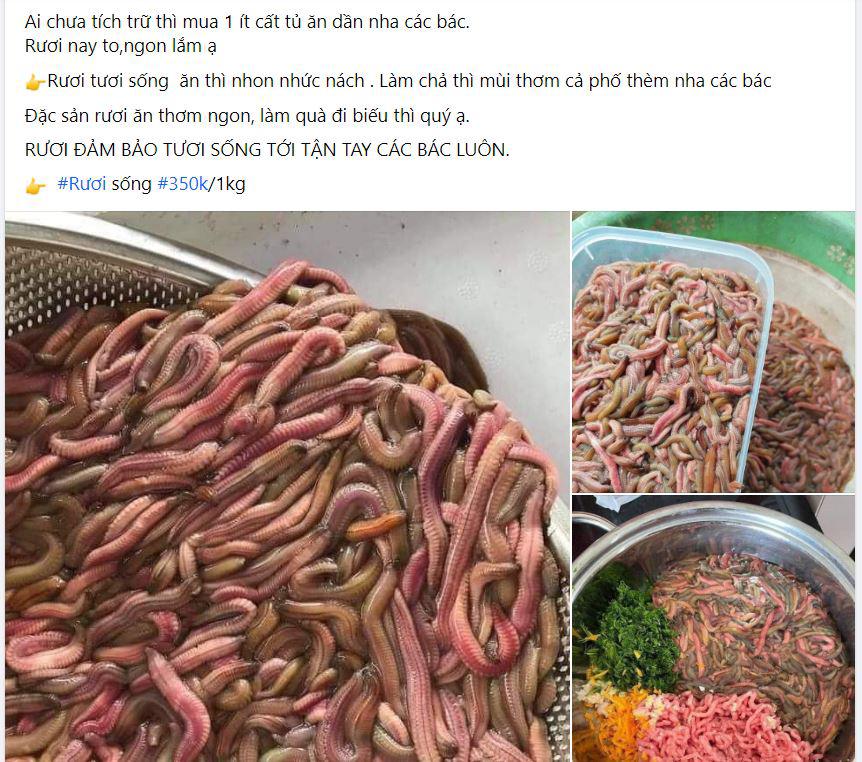 Lộc trời” nhìn như con giun vào mùa, giá rẻ hơn năm ngoái vẫn tiêu thụ chậm-2