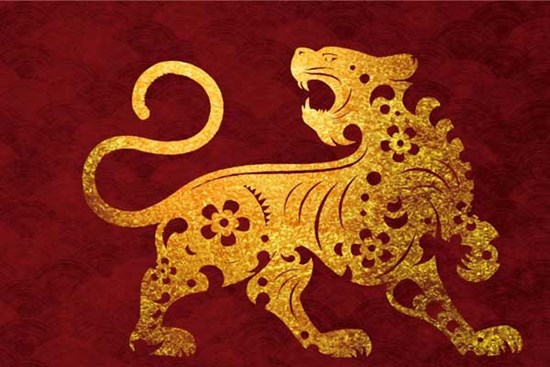 Tử vi 12 con giáp 26/10: Ngọ thành công ngoài mong đợi, Tuất tình tiền đỏ rực